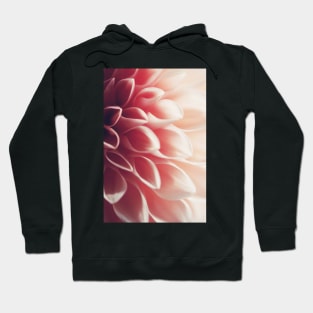 Pink Dahlia #2 Hoodie